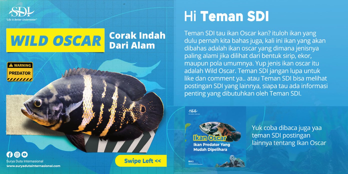 Iklan Produk — Surya Duta Internasional — 5